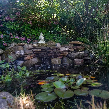 Villa Boka's Forest Getaway