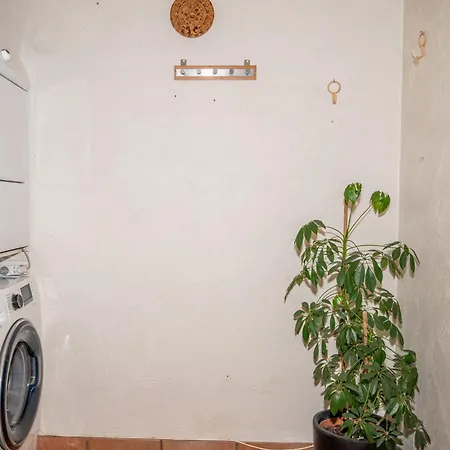 Boka's Forest Getaway * 比隆