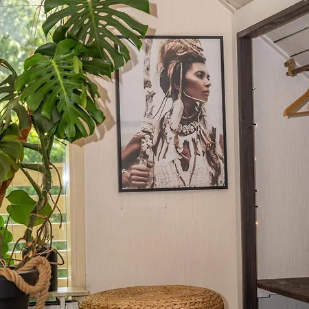 别墅 Boka's Forest Getaway